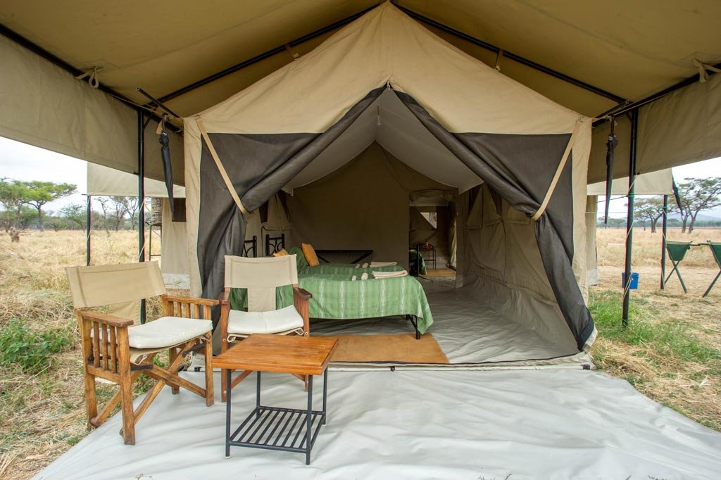 SafariTeller travel image