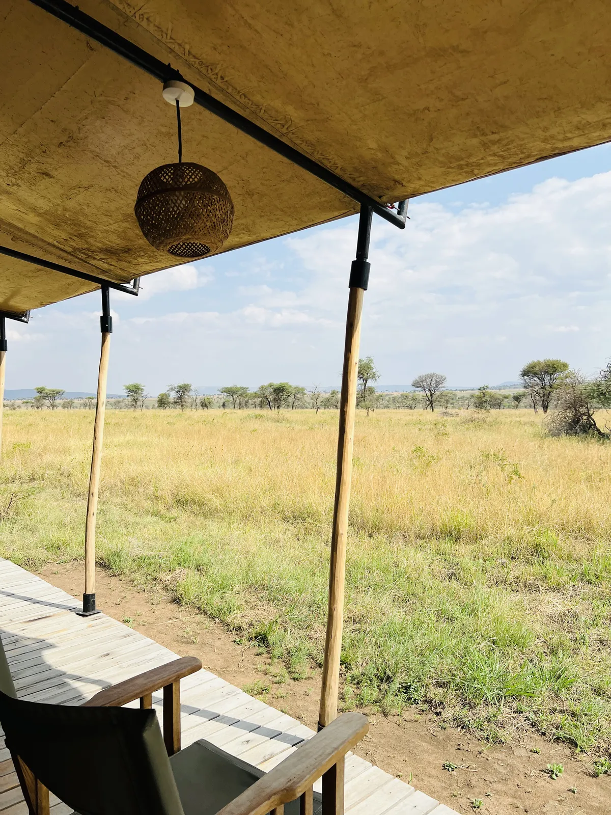 SafariTeller travel image