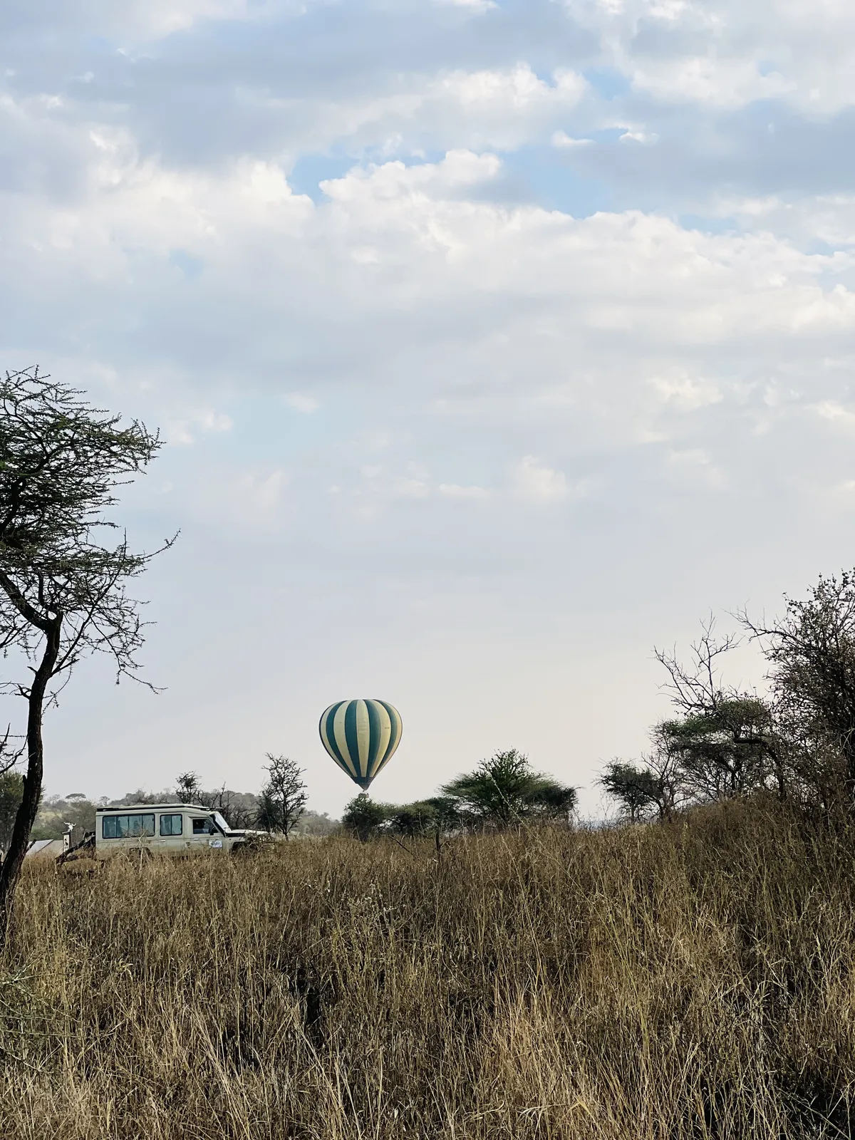 8 Day Family Migration & Ndutu Safari