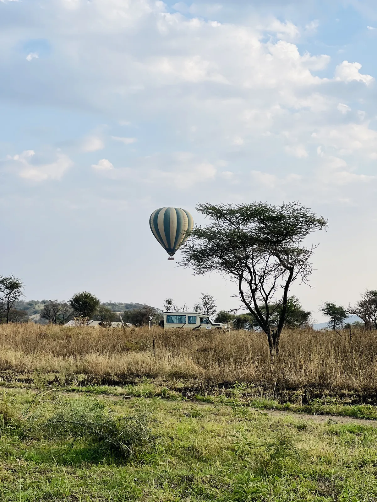 9 Day Honeymoon Northern Serengeti Safari