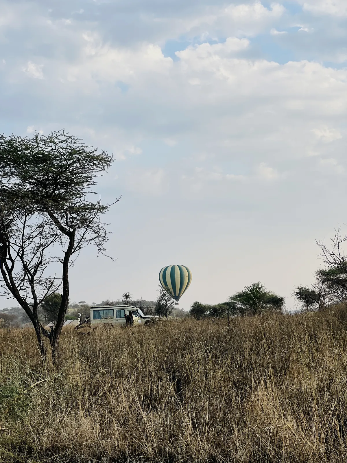 SafariTeller travel image
