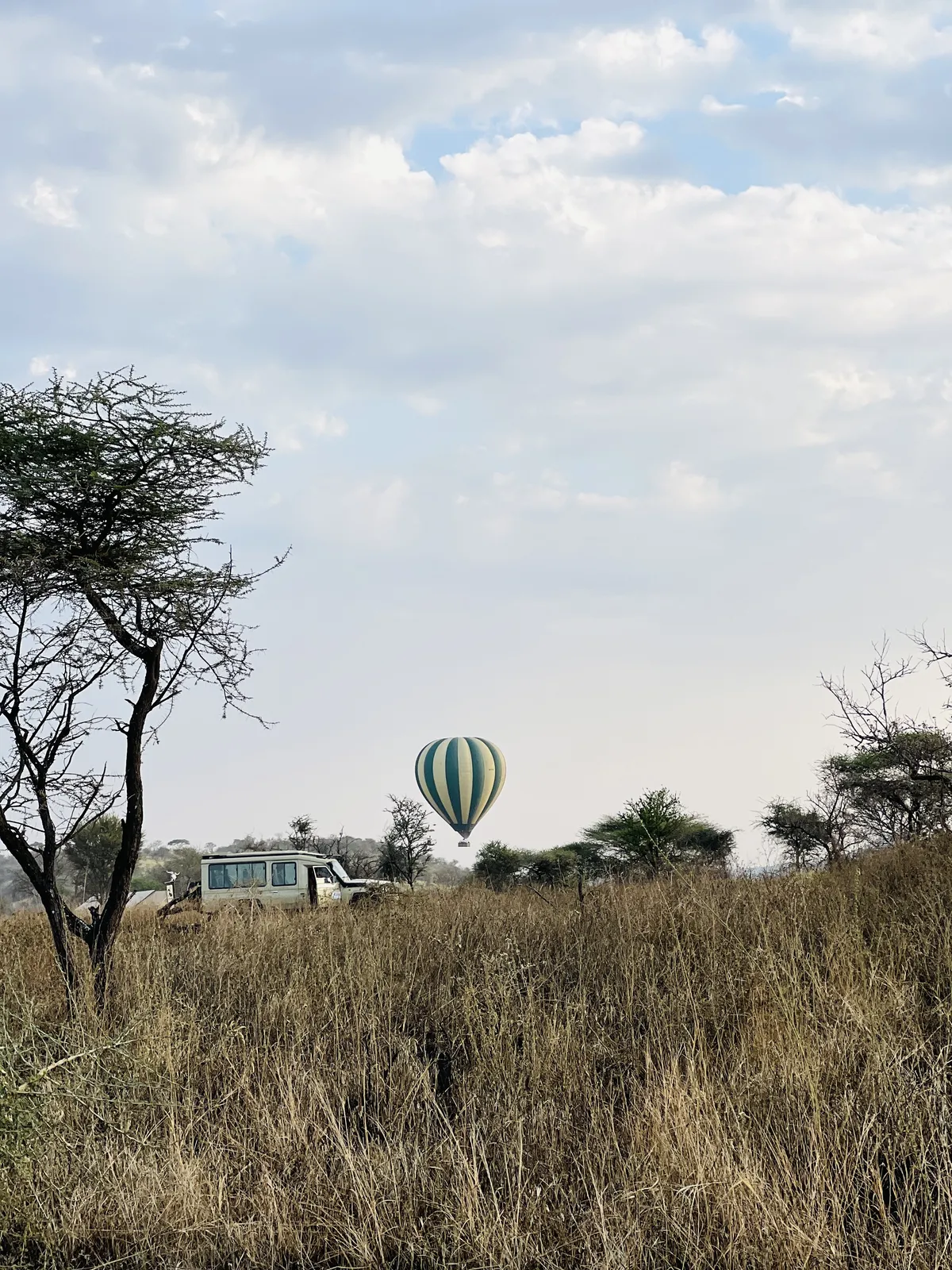 SafariTeller travel image