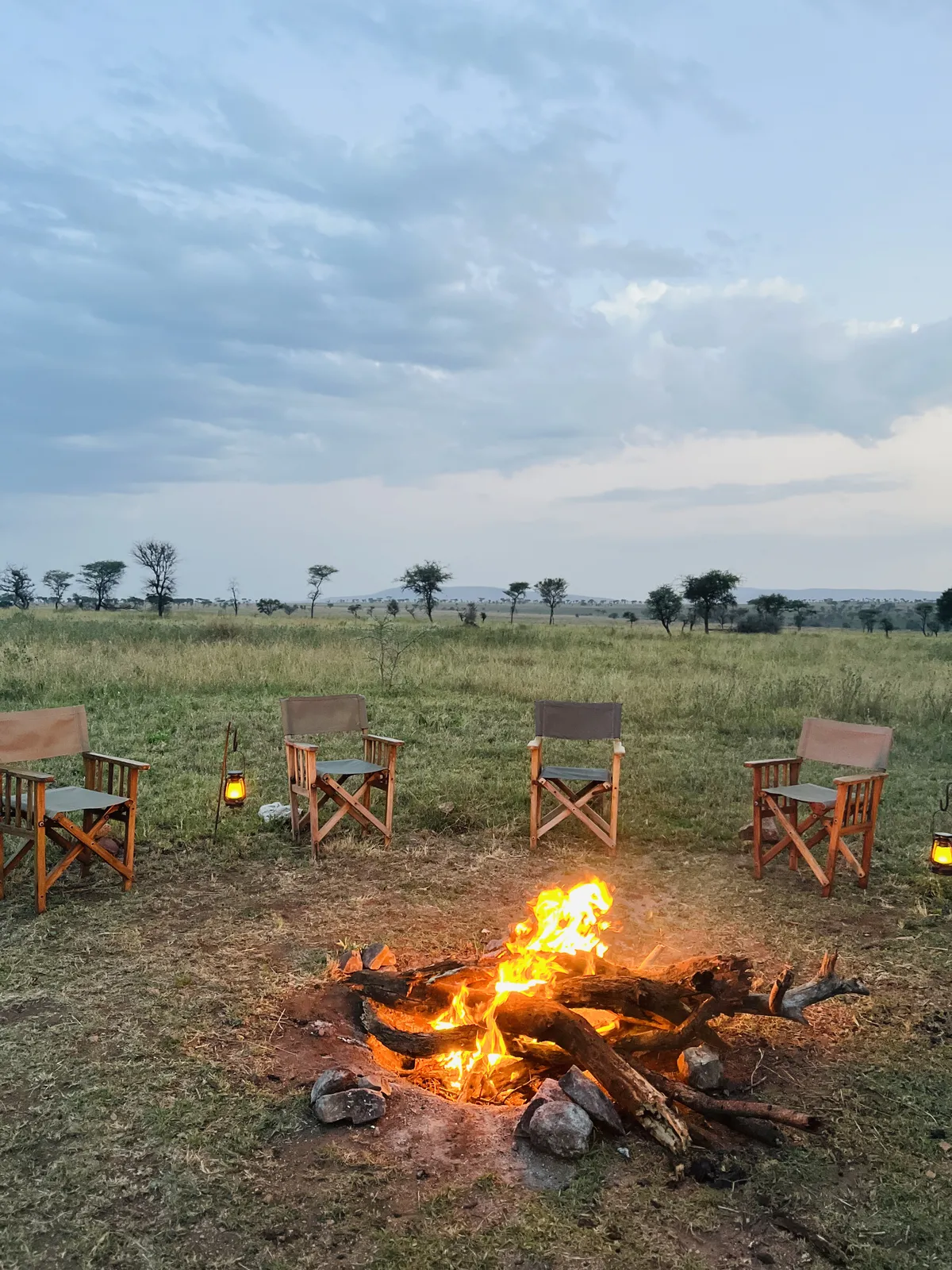 SafariTeller travel image