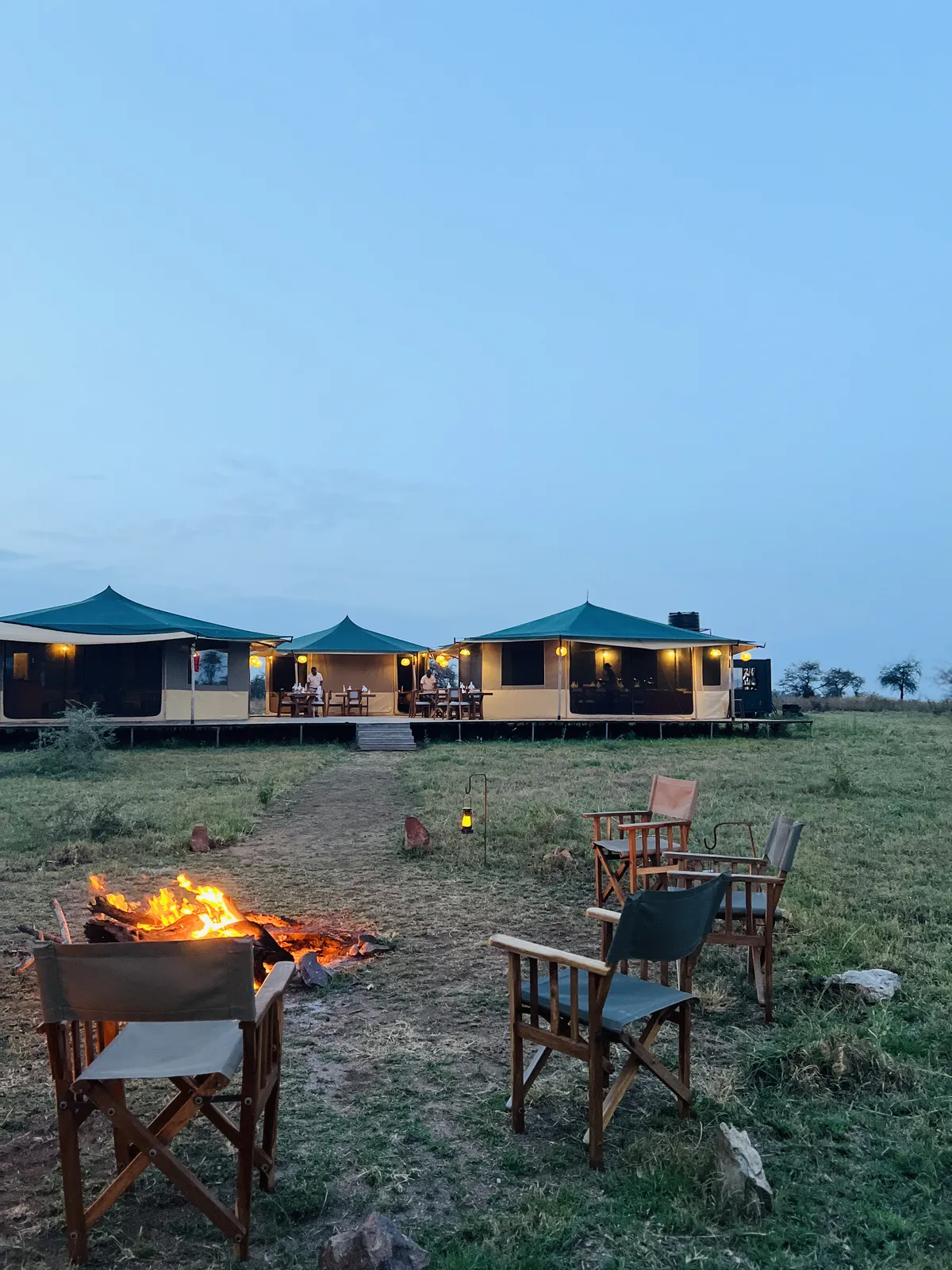 SafariTeller travel image