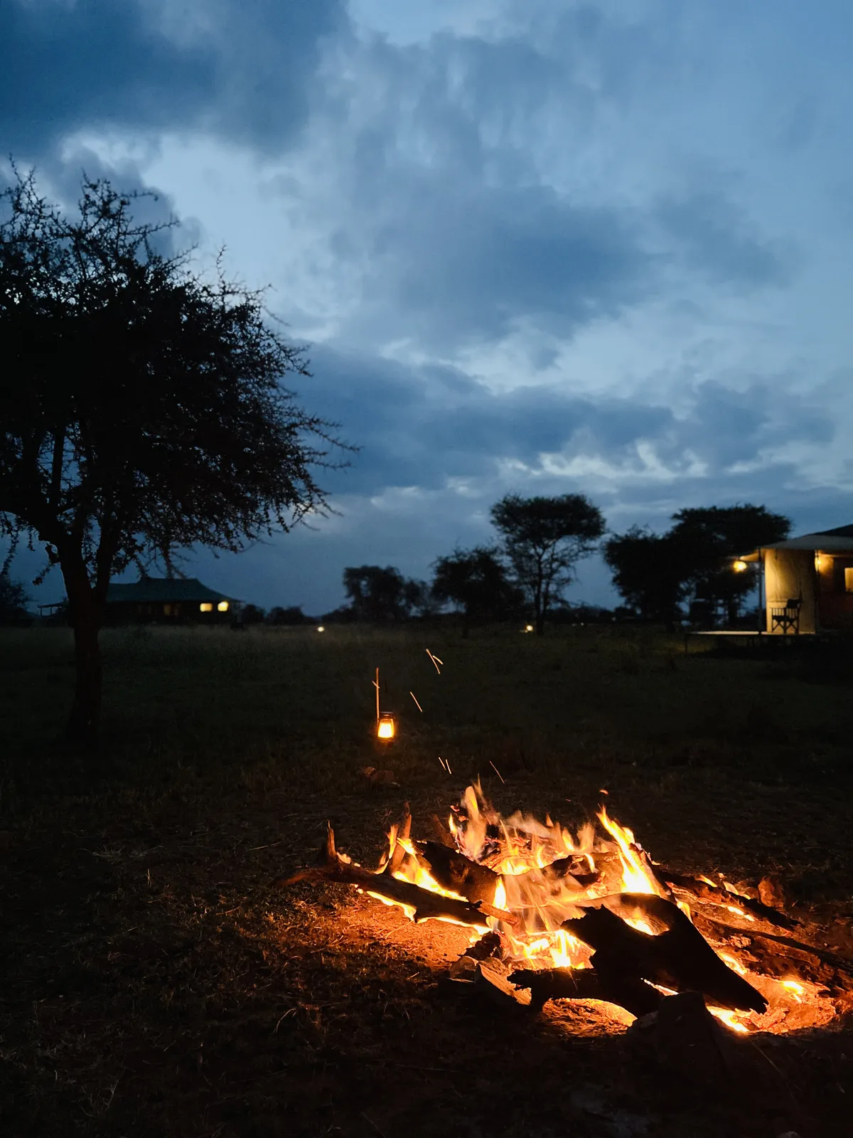 SafariTeller travel image