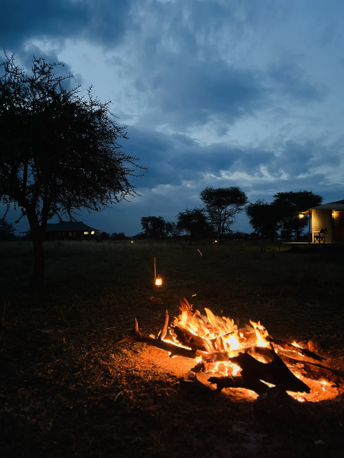 9 Day Luxury Serengeti & Ngorongoro Safari