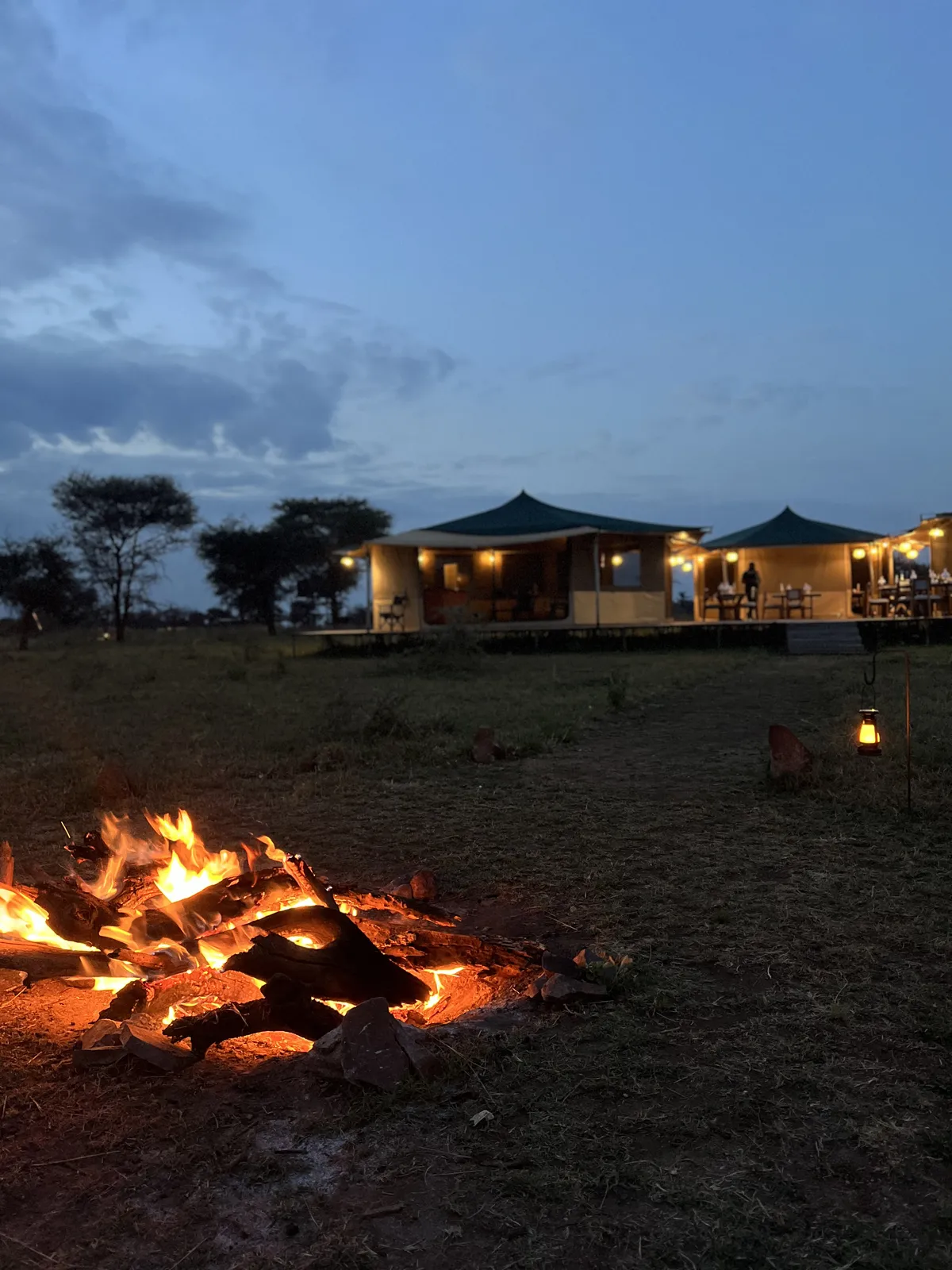 SafariTeller travel image