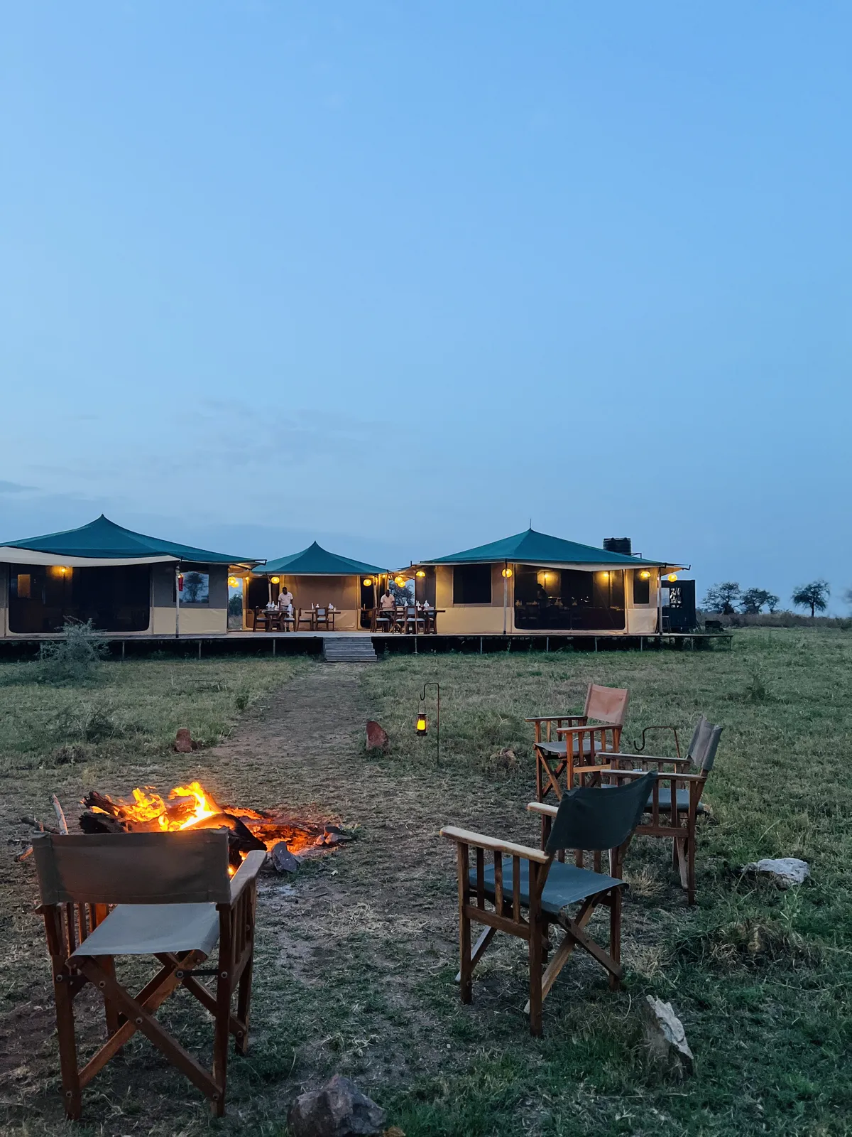11 Day Family Migration & Ndutu Safari