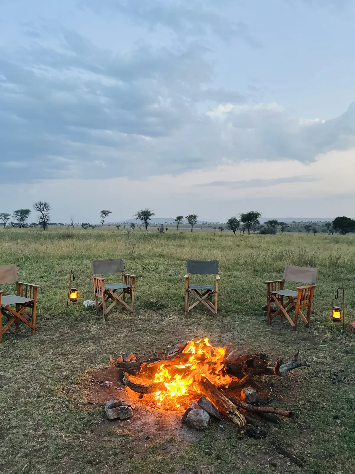 12 Day Honeymoon Grand Tanzania & Zanzibar Safari