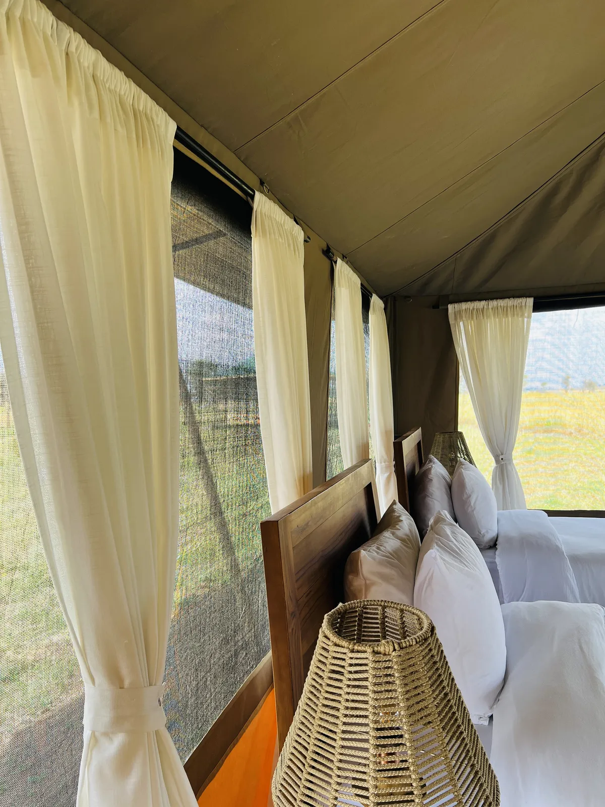 SafariTeller travel image