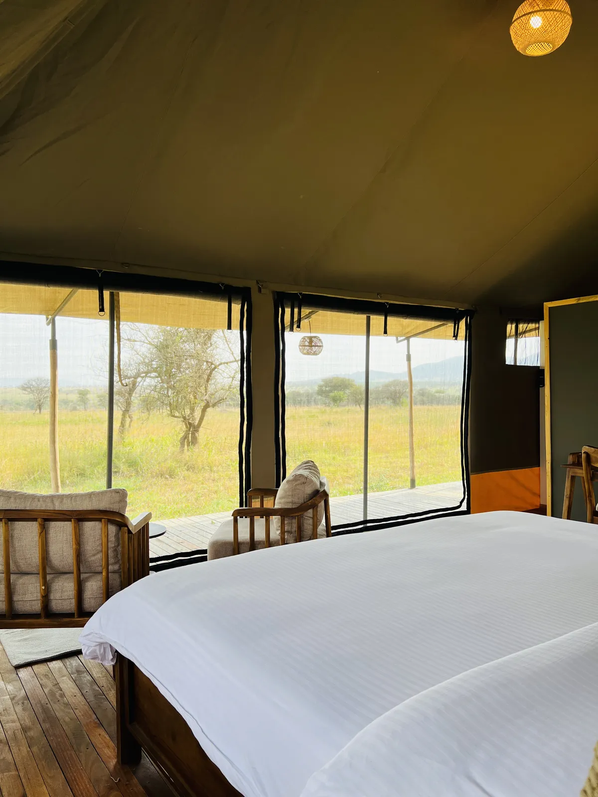 SafariTeller travel image