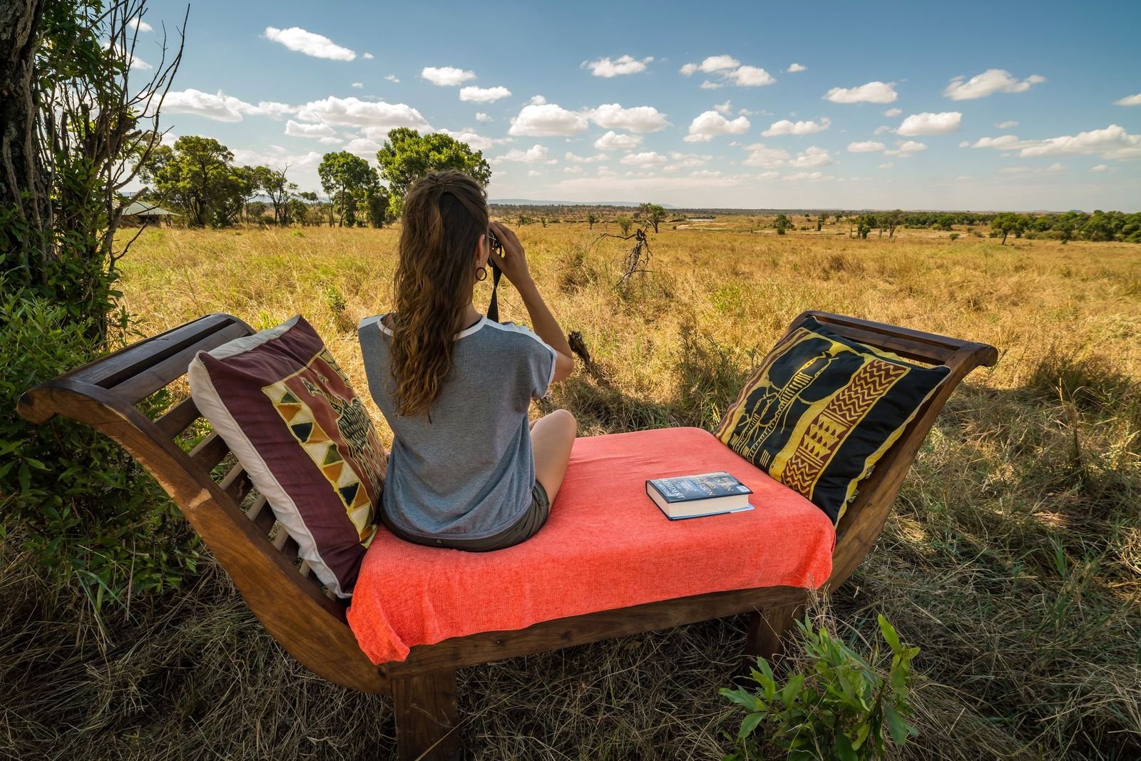 How Much Does a Tanzania Safari Cost?