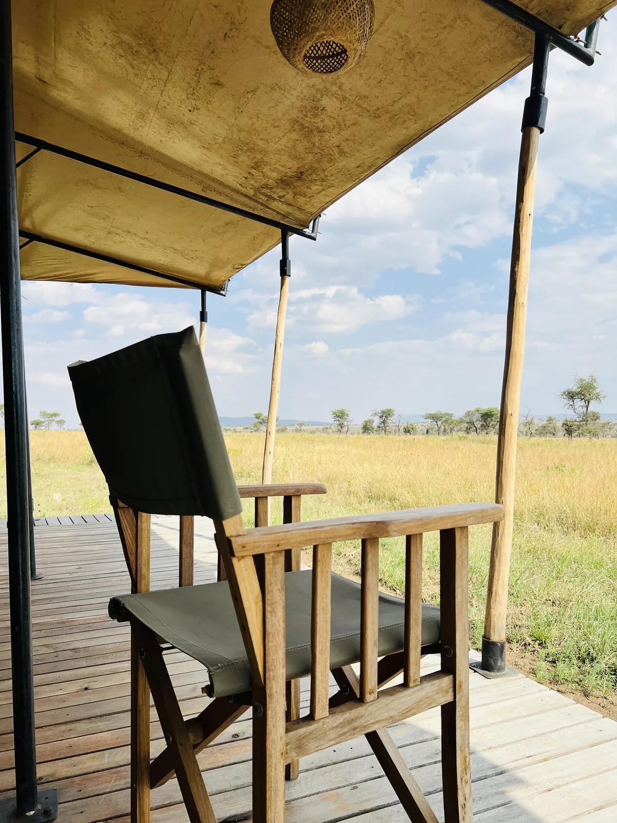 SafariTeller travel image