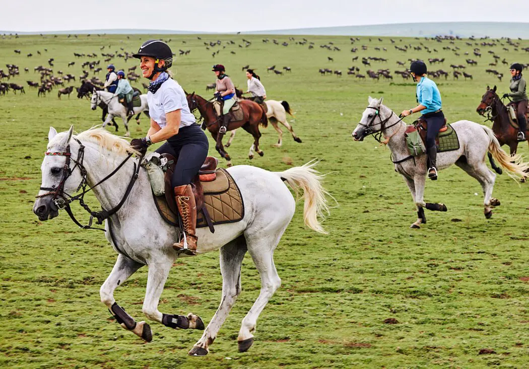 SafariTeller travel image