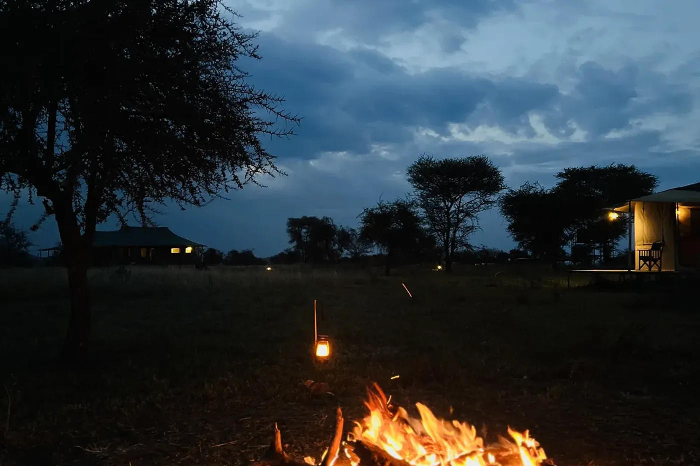 SafariTeller travel image