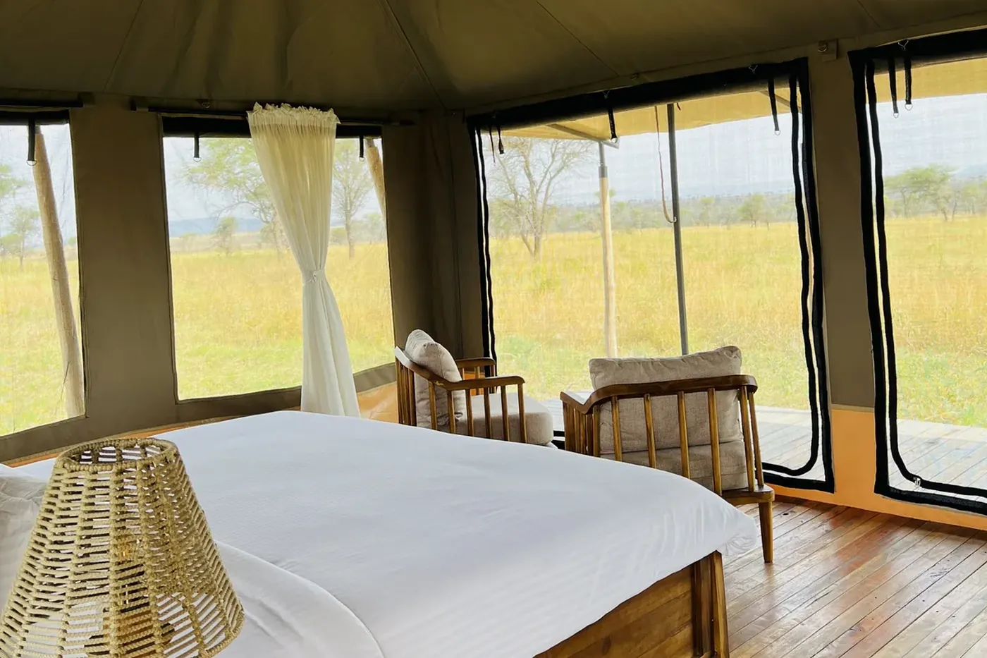SafariTeller travel image