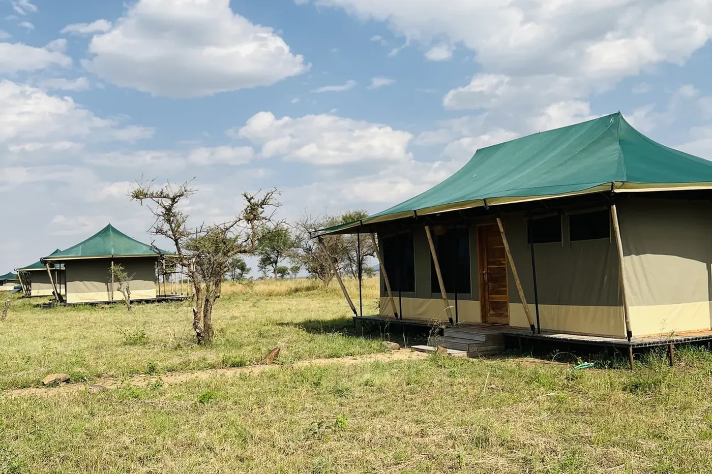 How to Choose a Serengeti Camp by Location and Season