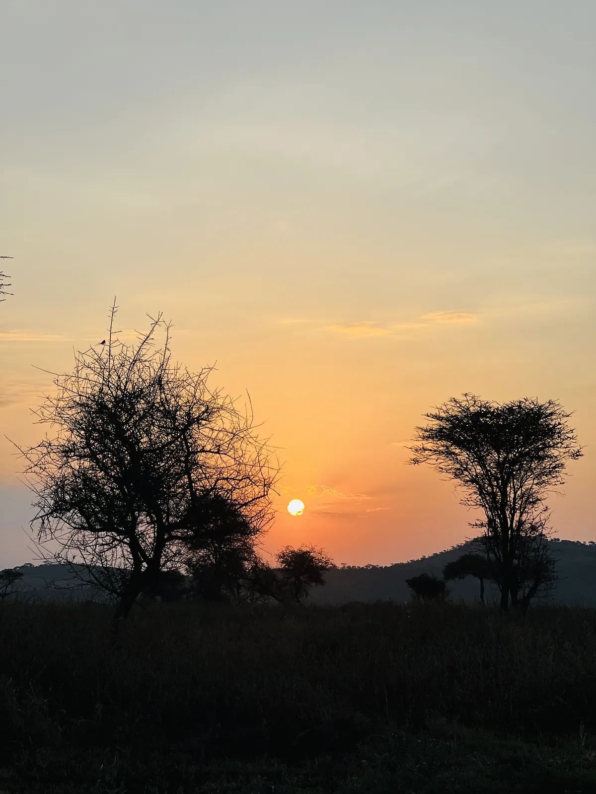 Tanzania