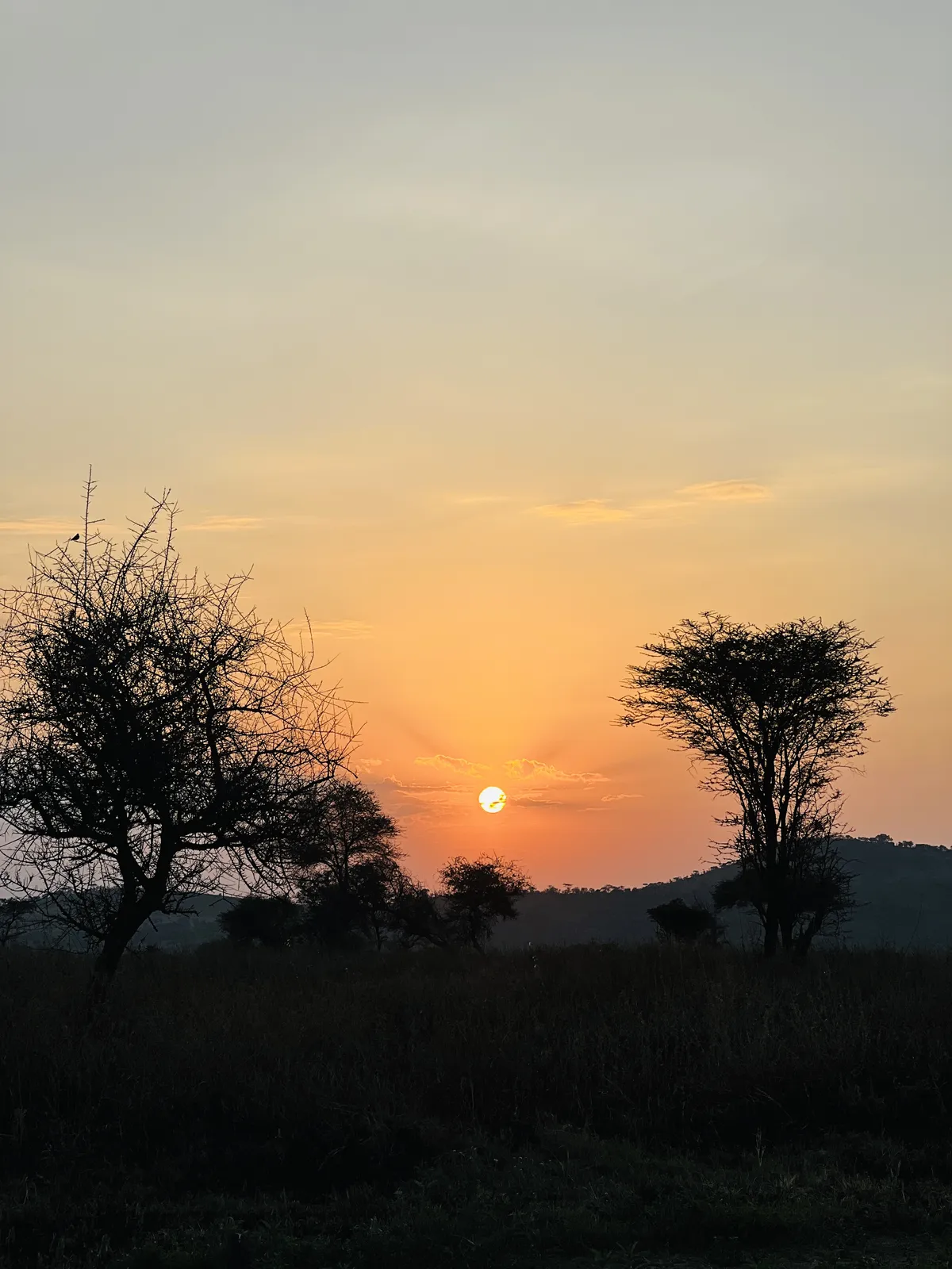 Serengeti National Park