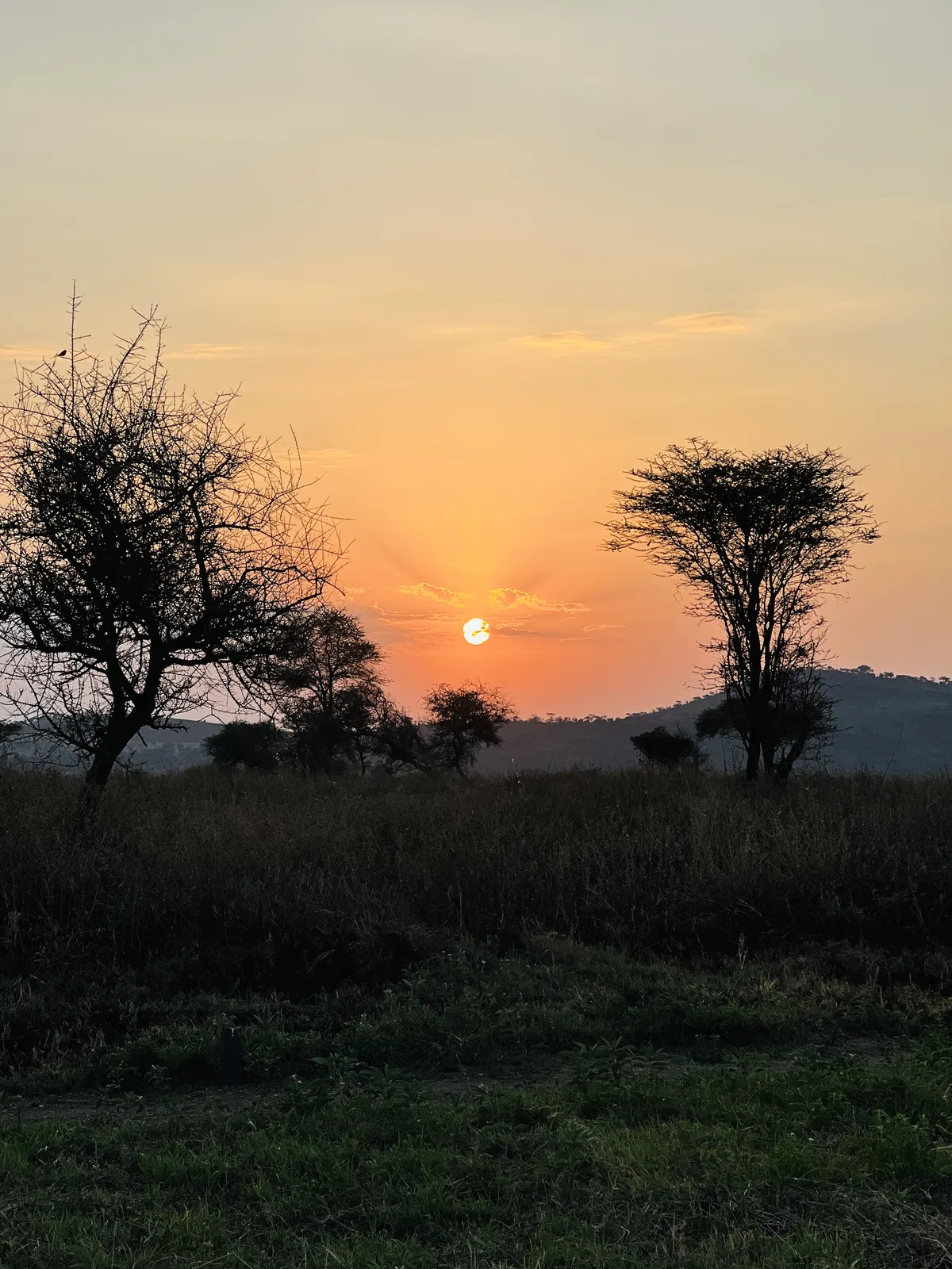 Ngorongoro Conservation Area