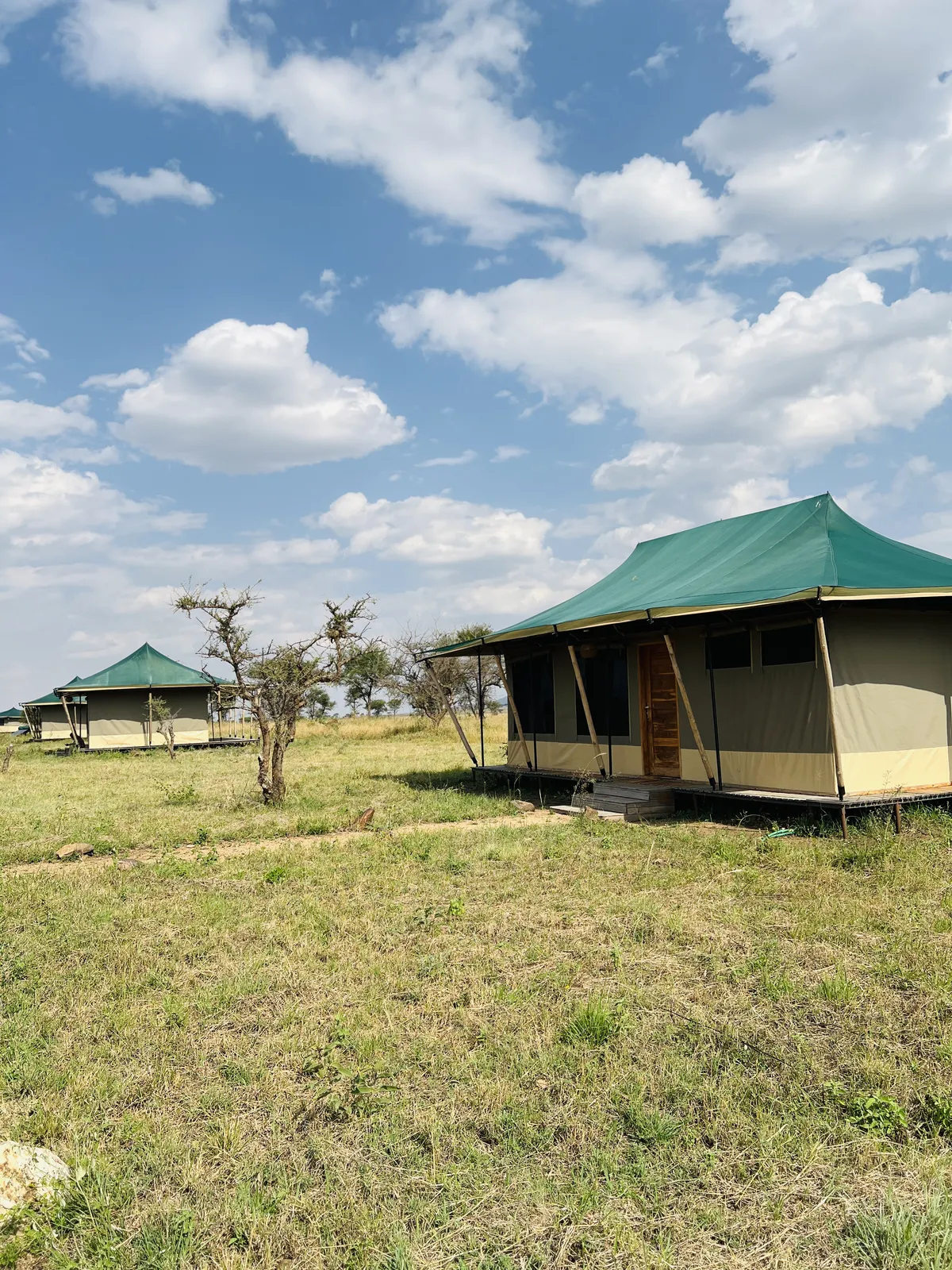 Nyerere National Park