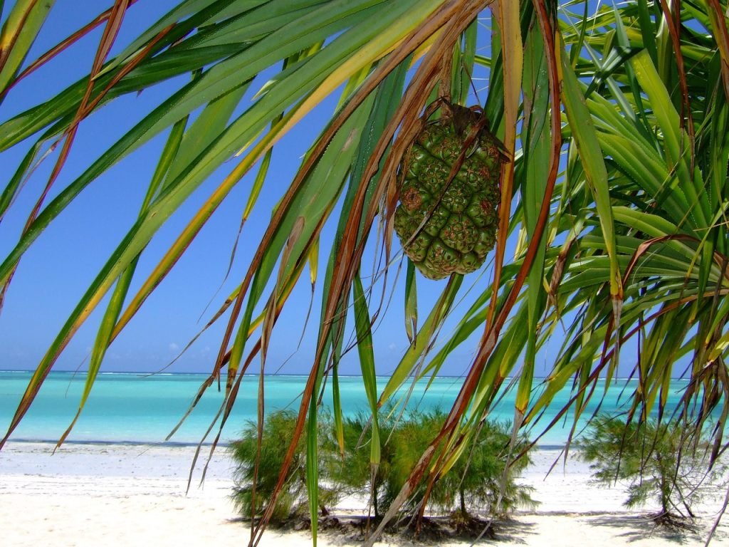 4 Days Zanzibar beach tour