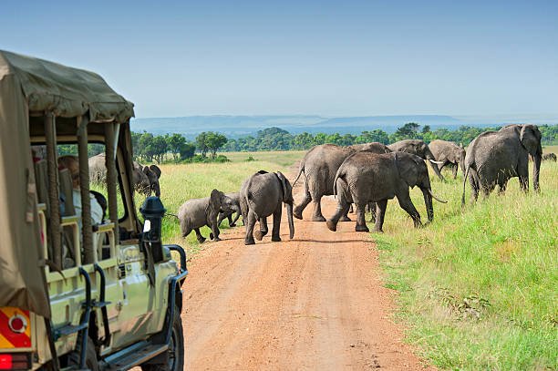 4 Days Safari Honeymoon Package in Tanzania