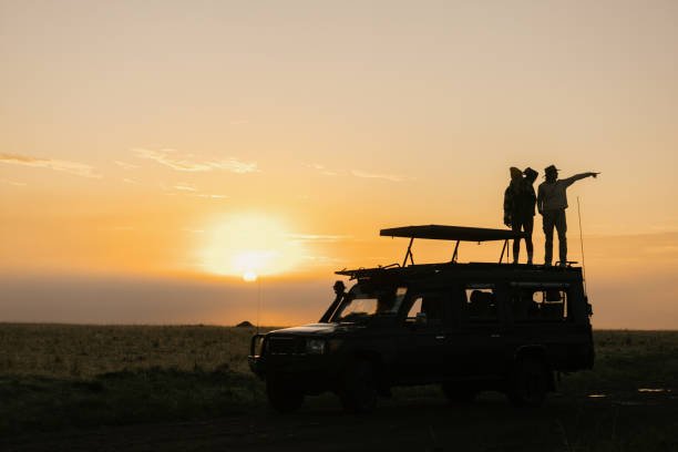 A 5-Day Honeymoon Safari in Tanzania