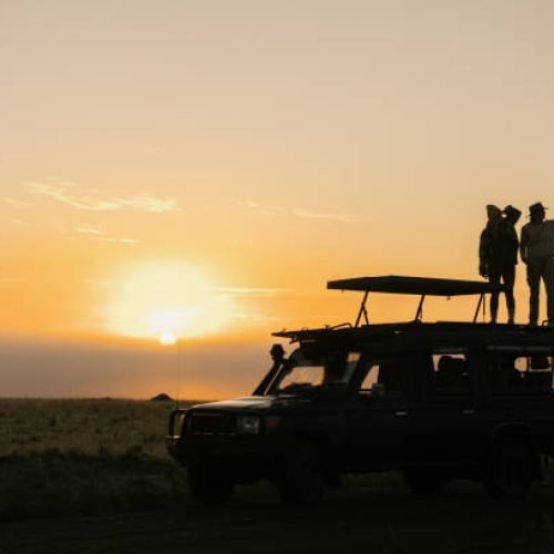 A 5-Day Honeymoon Safari in Tanzania